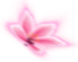模糊花朵粉色小清新卡通修饰