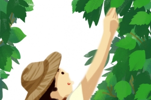 大暑夏天手绘人物树叶竹篓