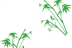 翠绿矢量竹子