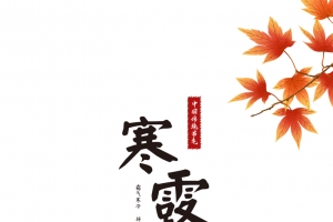 寒露节气海报制作