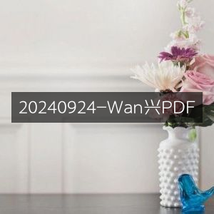 20240924 万兴PDF优化指南