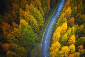4k 秋天风景 图片 树林 公路 俯视 电脑 高清 壁纸
