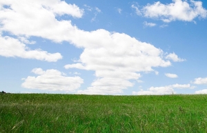 草原banner创意设计