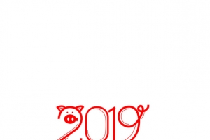 2019字体设计猪猪