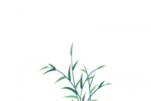 端午艾叶元素
