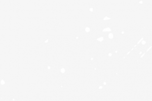 白色斑点