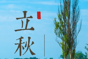立秋0807H5背景
