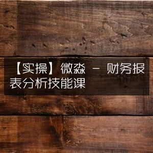 【实战指南】微淼财务报表分析技能课程