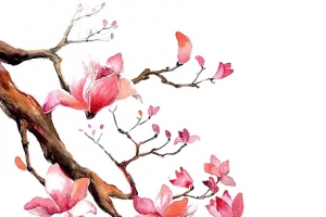 手绘花枝粉色花朵