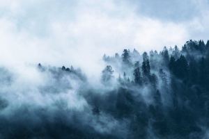 山林云雾缭绕背景图