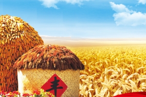 农业农产品稻谷丰收背景banner