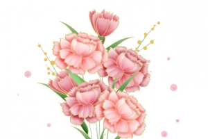 母亲节一束粉色康乃馨