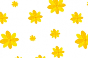 可爱黄色雏菊花纹