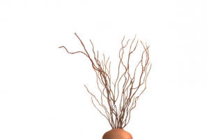 枯枝艺术插瓶高清PNG透明植物装饰素材免费下载