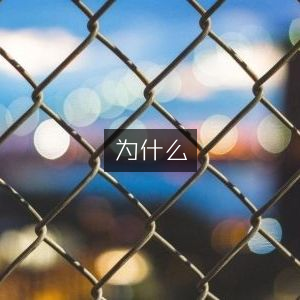 自然纪实类书籍阅读的魅力所在
