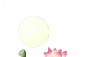 中秋节