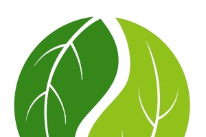 中医绿色树叶八卦logo