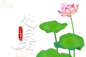 夏季处暑荷叶手绘人物荷花