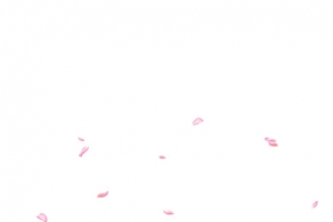 粉色时尚漂浮花瓣