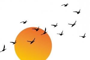 矢量夕阳