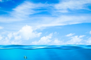 蓝天白云风景海面海底鱼类背景素材