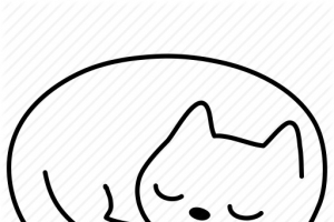 创意手绘睡觉的小猫咪