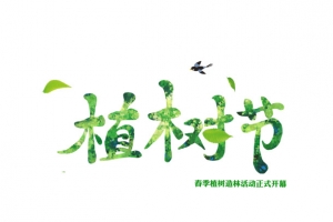 春季植树造林共建美好环境