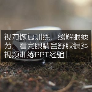 视力提升训练，有效缓解眼疲劳，观看后眼睛倍感舒适 - 视频教程+PPT实战技巧
