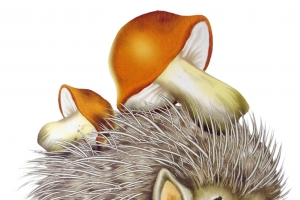 卡通动漫刺猬背着蘑菇