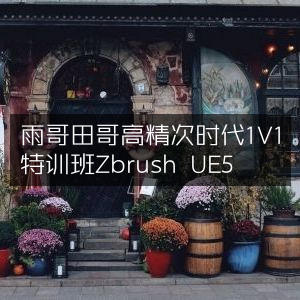 雨哥田哥高端1V1特训，精通Zbrush与UE5次时代技术