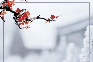 立冬促销简约清新文艺节气