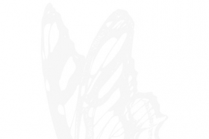 白色蝴蝶造型高清PNG透明装饰元素动物设计素材免费下载