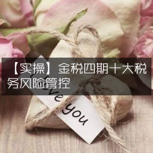 实操指南，金税四期税务风险管控的十大要点