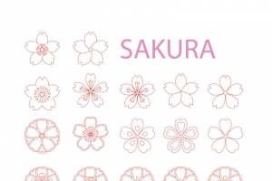 樱花瓣矢量素材