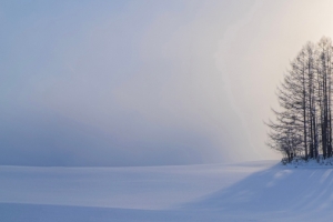 冬天 雪 树 太阳3840x1080风景壁纸
