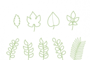 绿色植物简笔画
