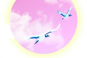 粉色月亮仙鹤中秋