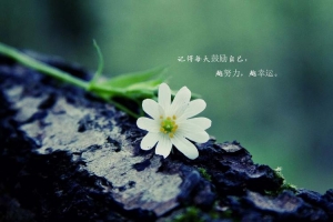 老墨说点心里话，并祝福小伙伴们新的一年，身体健康，多多赚钱！