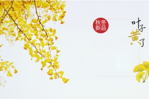 秋天新品上市背景