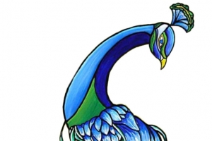 手绘体态优美孔雀