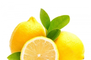 橙子叶子香橙高清PNG透明免扣设计素材免费下载