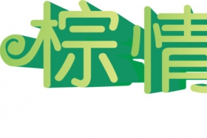 粽情端午标题