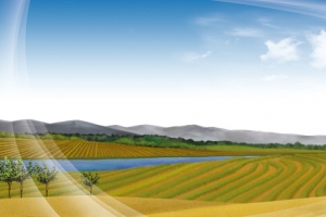 农业农田清新背景banner