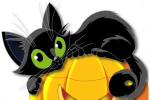 万圣节小猫南瓜图