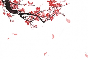 中国风飘落的梅花PNG