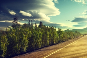 唯美公路banner背景