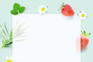 创意绿色有机水果草莓背景