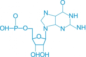 简洁化学方程式
