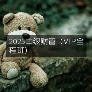 2025中级财务管理VIP全程班