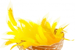 手绘麦穗芒种二十四节气高清PNG透明免扣设计素材免费下载